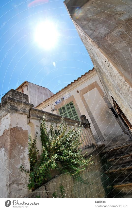 VILLA ROSA Wolkenloser Himmel Sonne Sommer Schönes Wetter Sträucher Kleinstadt Haus Ruine Mauer Wand Fassade alt leuchten authentisch eckig kaputt blau weiß