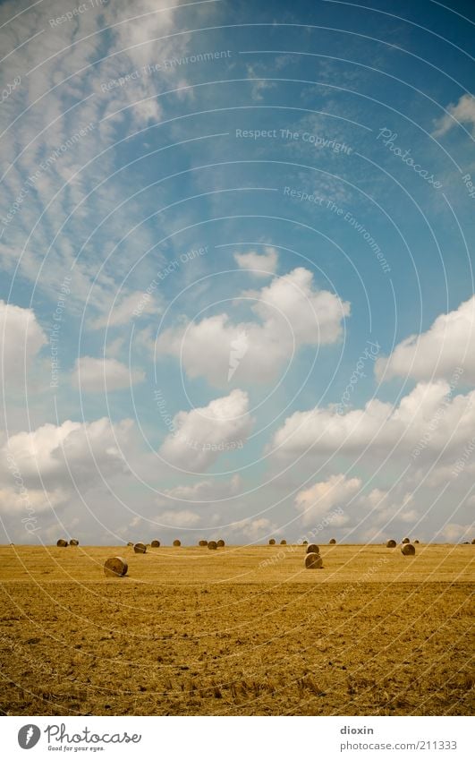 weites Feld Ackerbau Umwelt Natur Landschaft Erde Himmel Wolken Sommer Nutzpflanze Getreidefeld Getreideernte Ernte Heu Heuballen Heurolle Heuernte Heugarben