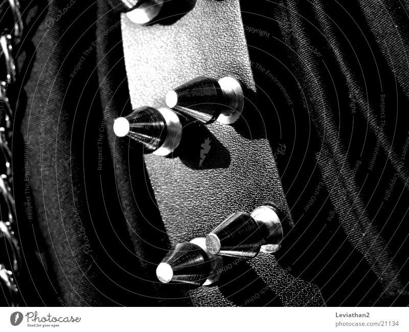 Nieten Makro glänzend Gürtel schwarz Fototechnik Nahaufnahme Kontrast