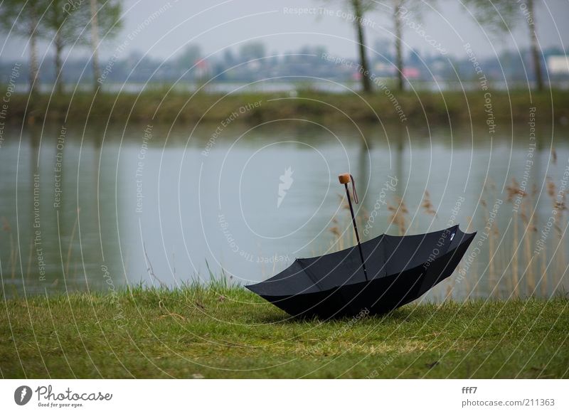 Fallender Regenschirm Natur Landschaft Erde Wasser Wolken Gewitterwolken Horizont Klima schlechtes Wetter Unwetter Baum Gras Insel See Gefühle Stimmung Spiegel