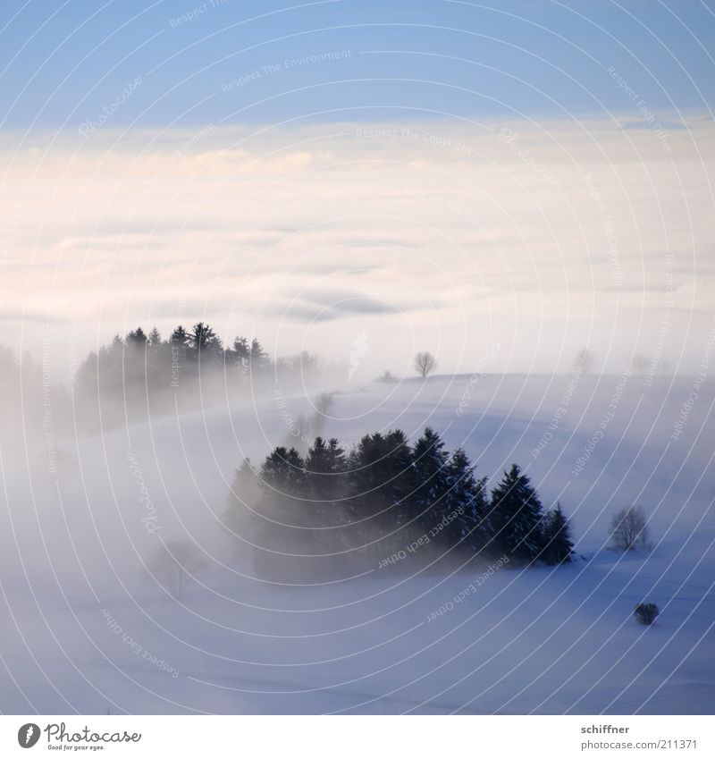 Märchenland I Natur Landschaft Himmel Wolken Winter Wetter Nebel Eis Frost Schnee Baum Wald Berge u. Gebirge Schneebedeckte Gipfel kalt Zufriedenheit