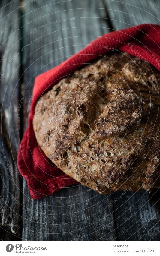 frisches Möhrenbrot Lebensmittel Teigwaren Backwaren Brot Bioprodukte Vegetarische Ernährung Gesundheit Gesundheitswesen Küchenhandtücher lecker nah Farbfoto