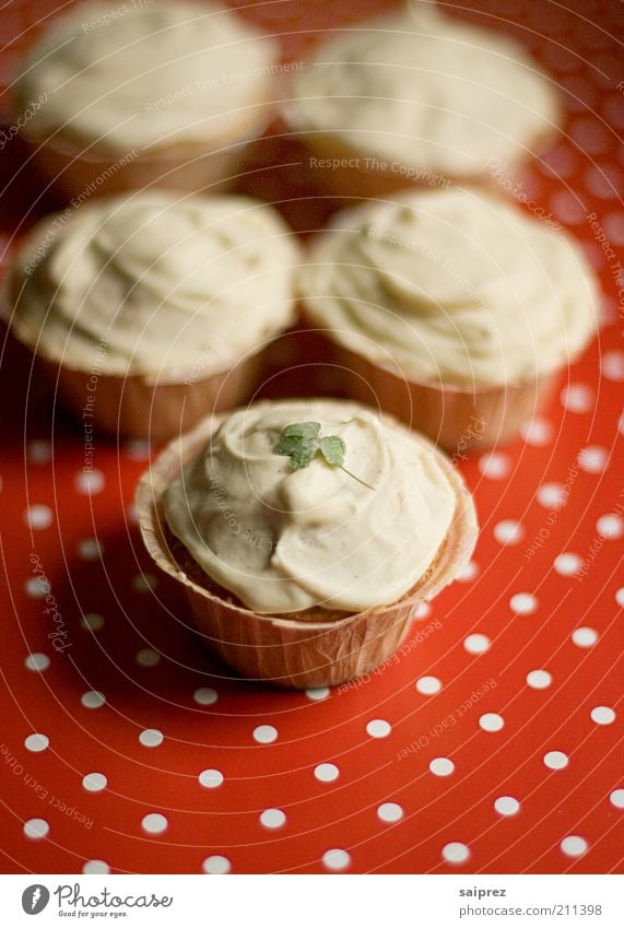 Cupcakes Lebensmittel Teigwaren Backwaren Kuchen Ernährung Kaffeetrinken Slowfood lecker süß rot weiß genießen Farbfoto mehrfarbig Nahaufnahme Makroaufnahme Tag