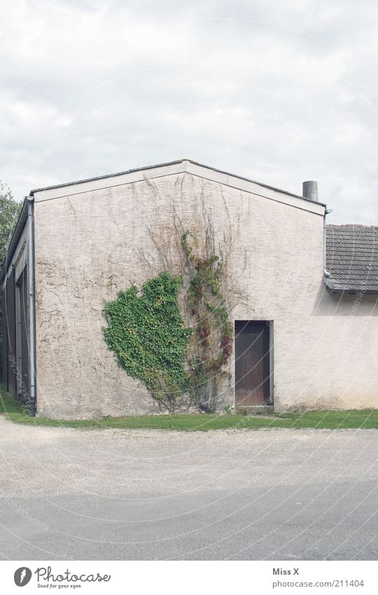 tristesse Pflanze Efeu Haus Gebäude Mauer Wand Tür Wachstum Bauernhof Hof Scheune Farbfoto Gedeckte Farben Außenaufnahme Menschenleer Textfreiraum oben