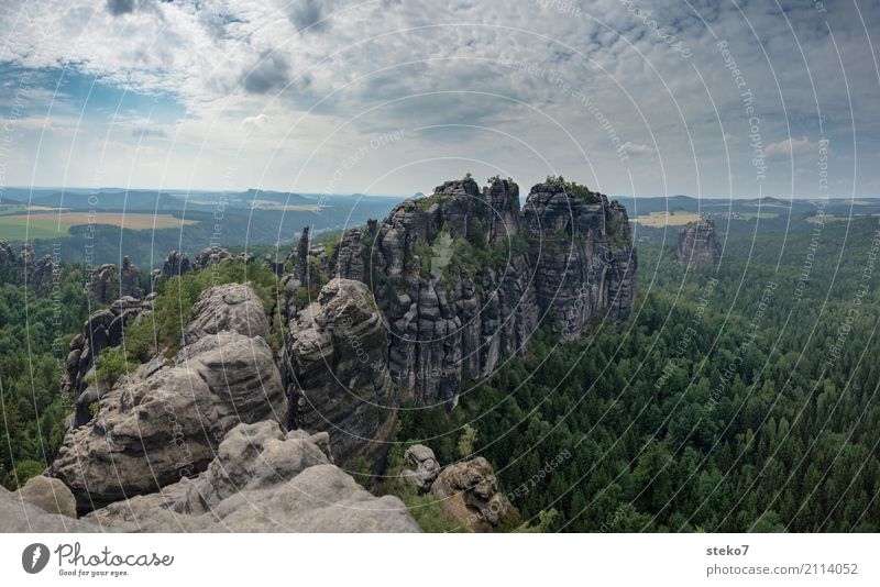 Schrammsteine Wald Felsen Berge u. Gebirge Elbsandsteingebirge Gipfel hoch bizarr einzigartig Horizont Gesteinsformationen Sächsische Schweiz Kletterwand