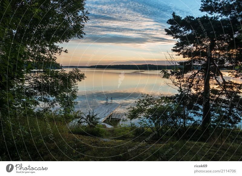 Schärengarten an der schwedischen Küste vor Stockholm Erholung Ferien & Urlaub & Reisen Tourismus Insel Natur Landschaft Wolken Baum Wald Ostsee blau grün