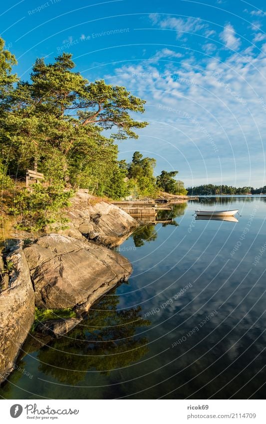 Schärengarten an der schwedischen Küste vor Stockholm Erholung Ferien & Urlaub & Reisen Tourismus Insel Natur Landschaft Wolken Baum Wald Ostsee Wasserfahrzeug