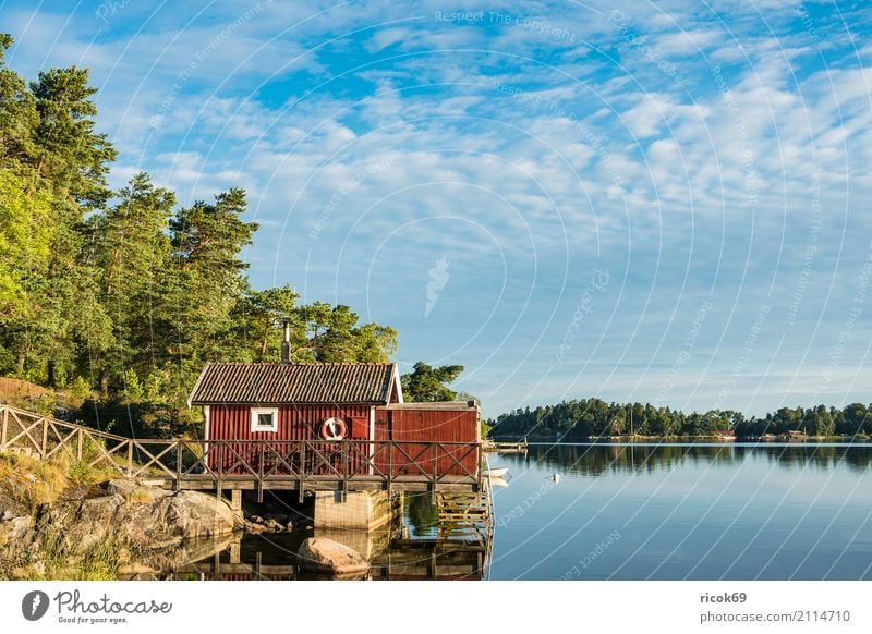 Schärengarten an der schwedischen Küste vor Stockholm Erholung Ferien & Urlaub & Reisen Tourismus Insel Haus Natur Landschaft Wolken Baum Ostsee Architektur