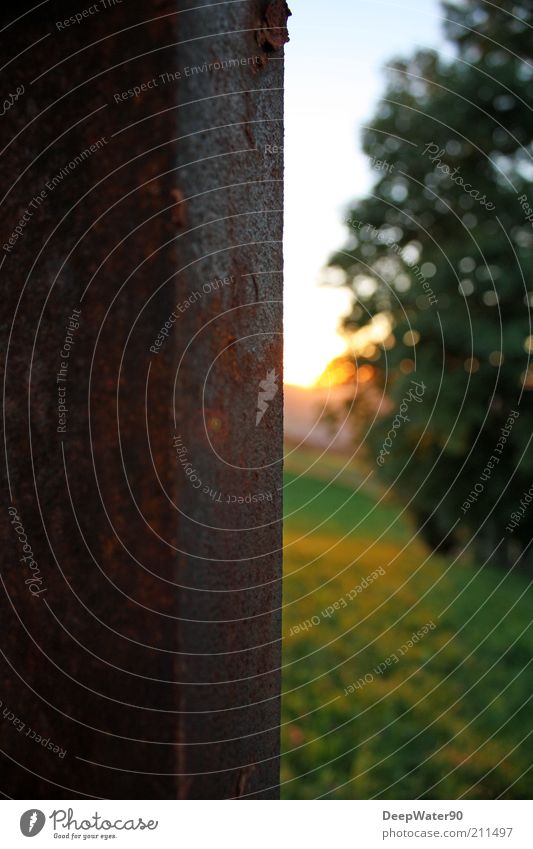 Iron environment Umwelt Natur Sonnenaufgang Sonnenuntergang Sommer Schönes Wetter Baum Gras Rost authentisch braun grün Gegenteil Bildaufbau Verfall Stahlträger