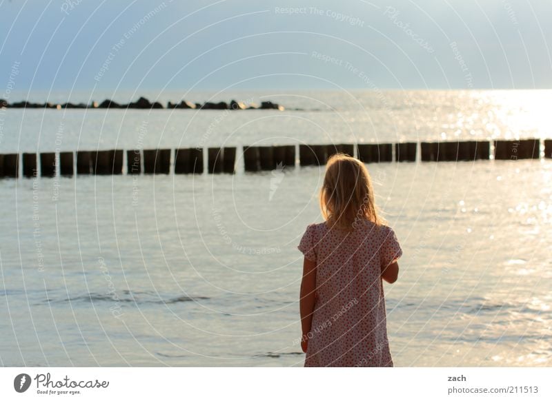 Ostsee Strand Meer Mensch Kind Mädchen 1 3-8 Jahre Kindheit Natur Wasser Wolkenloser Himmel Sommer Küste Insel Darß blond Blick träumen blau Fernweh Freiheit