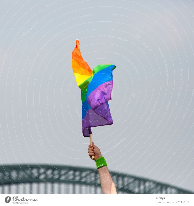 Mann schwenkt eine Regenbogenfahne  beim CSD in Köln Regenbogenflagge queer LGBTQ Christopher Street Day maskulin regenbogenfarben 1 Mensch Hand Liebe Fahne Sex