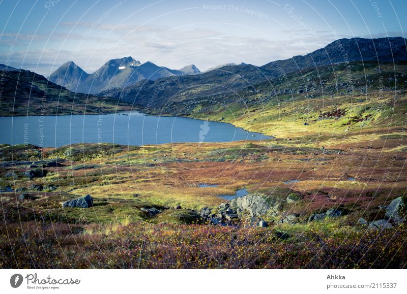 Land der Extreme harmonisch Wohlgefühl Zufriedenheit Sinnesorgane ruhig Meditation Ferien & Urlaub & Reisen Abenteuer Natur Landschaft Himmel Herbst