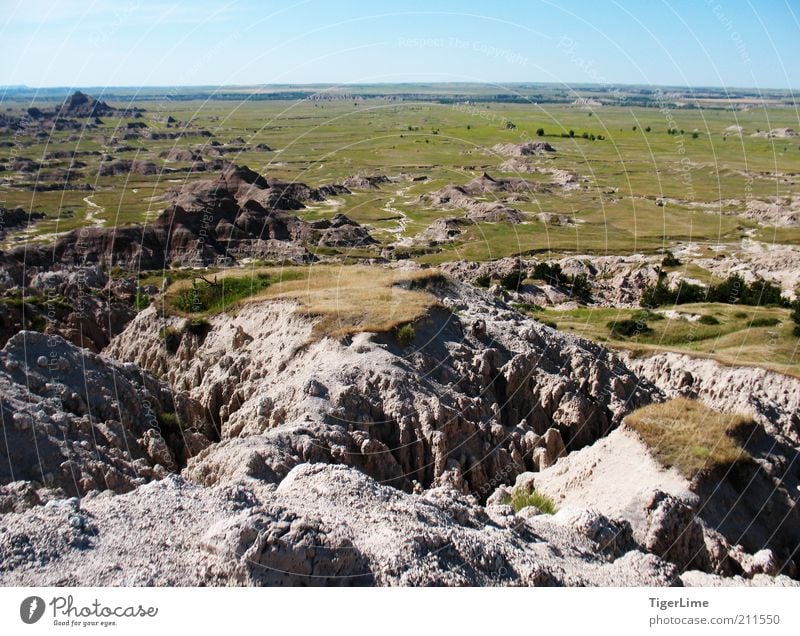 Badlands' Ende Umwelt Natur Landschaft Erde Wolkenloser Himmel Horizont Sommer Schönes Wetter Wärme Gras Sträucher Hügel Felsen Berge u. Gebirge Ödland Ferne