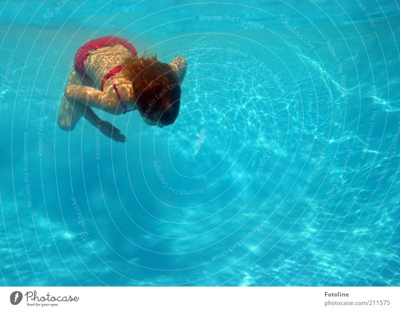 Ferienspaß Freude Schwimmen & Baden Ferien & Urlaub & Reisen Sommer Mensch Kind Mädchen Kindheit Haut Haare & Frisuren Rücken Arme Hand Beine tauchen hell kalt