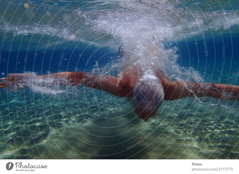 Mann im Meer II Ferien & Urlaub & Reisen Sommerurlaub Sport Wassersport Schwimmen & Baden tauchen Erwachsene 1 Mensch Schönes Wetter Badehose grauhaarig