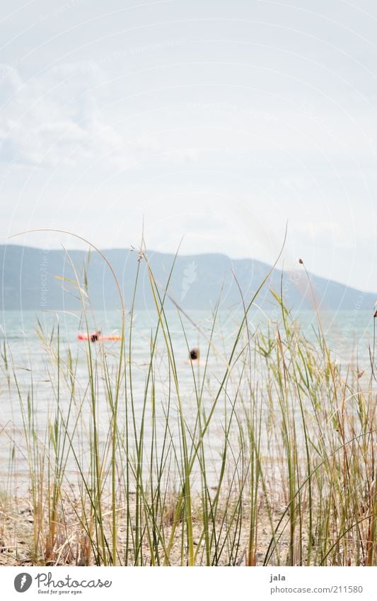 relax Natur Wasser Himmel Schönes Wetter Pflanze Gras Seeufer hell Farbfoto Außenaufnahme Textfreiraum oben Tag Erholungsgebiet Menschenleer ruhig