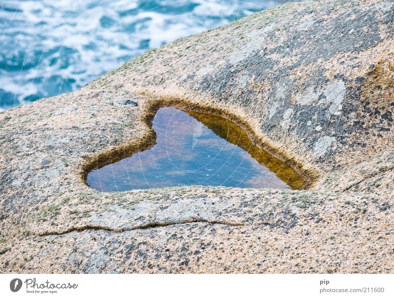 meer liebe Natur Wasser Sommer Küste Bucht Souvenir Herz Stein nass Liebe herzform Pfütze Wasserspiegelung Liebeskummer natürlich Erosion Felsen Wellen Furche