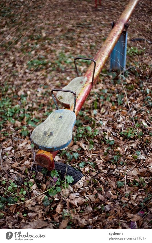 Vergessene Kindheit ruhig Spielen Kindergarten Umwelt Natur Herbst Pflanze Einsamkeit Endzeitstimmung Erfahrung geheimnisvoll Gesellschaft (Soziologie) Leben