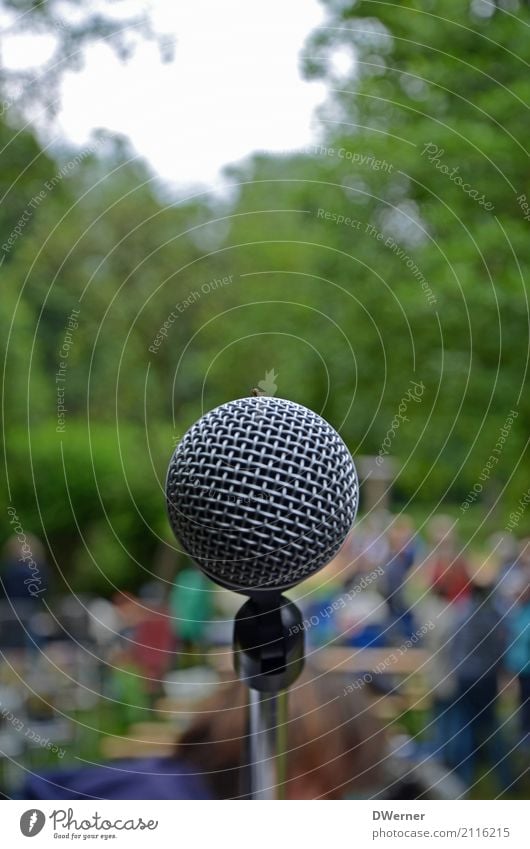 Das Mikro Freizeit & Hobby Entertainment Musik Unterhaltungselektronik Sänger Band Schönes Wetter Park Wiese sprechen Neugier Macht protestieren