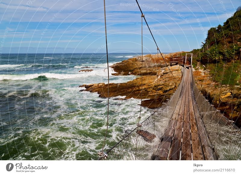 tsitsikamma Reserve Natur und Felsen Ferien & Urlaub & Reisen Strand Meer Wellen Landschaft Himmel Wolken Moos Park Hügel Küste Fluss Brücke Wege & Pfade gut