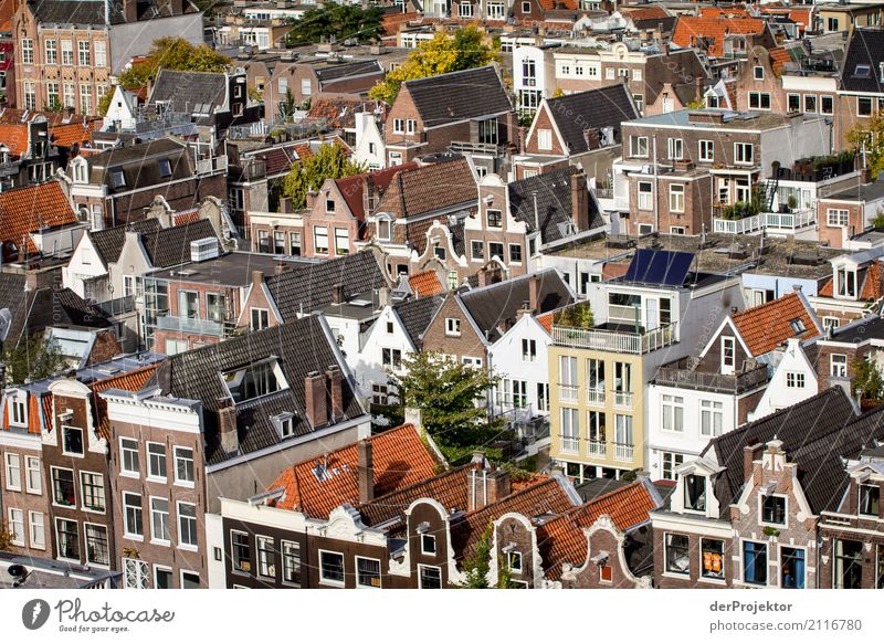 Amsterdam Häuser I Weitwinkel Zentralperspektive Starke Tiefenschärfe Sonnenstrahlen Reflexion & Spiegelung Kontrast Schatten Licht Tag Textfreiraum Mitte