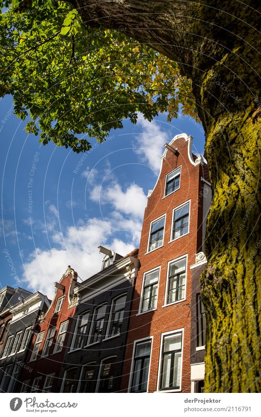 Amsterdam Häuser II Weitwinkel Zentralperspektive Starke Tiefenschärfe Sonnenstrahlen Reflexion & Spiegelung Kontrast Schatten Licht Tag Textfreiraum Mitte