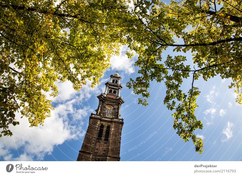 Amsterdamer Kirche Weitwinkel Zentralperspektive Starke Tiefenschärfe Sonnenstrahlen Reflexion & Spiegelung Kontrast Schatten Licht Tag Textfreiraum Mitte