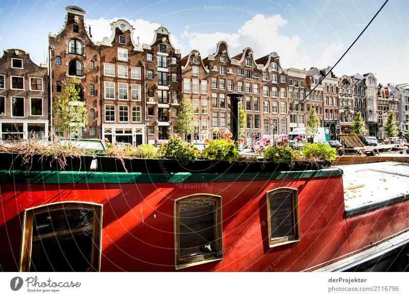 Amsterdamer Grachten IV Weitwinkel Zentralperspektive Starke Tiefenschärfe Sonnenstrahlen Reflexion & Spiegelung Kontrast Schatten Licht Tag Textfreiraum Mitte