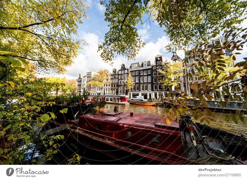 Amsterdamer Grachten I Weitwinkel Zentralperspektive Starke Tiefenschärfe Sonnenstrahlen Reflexion & Spiegelung Kontrast Schatten Licht Tag Textfreiraum Mitte