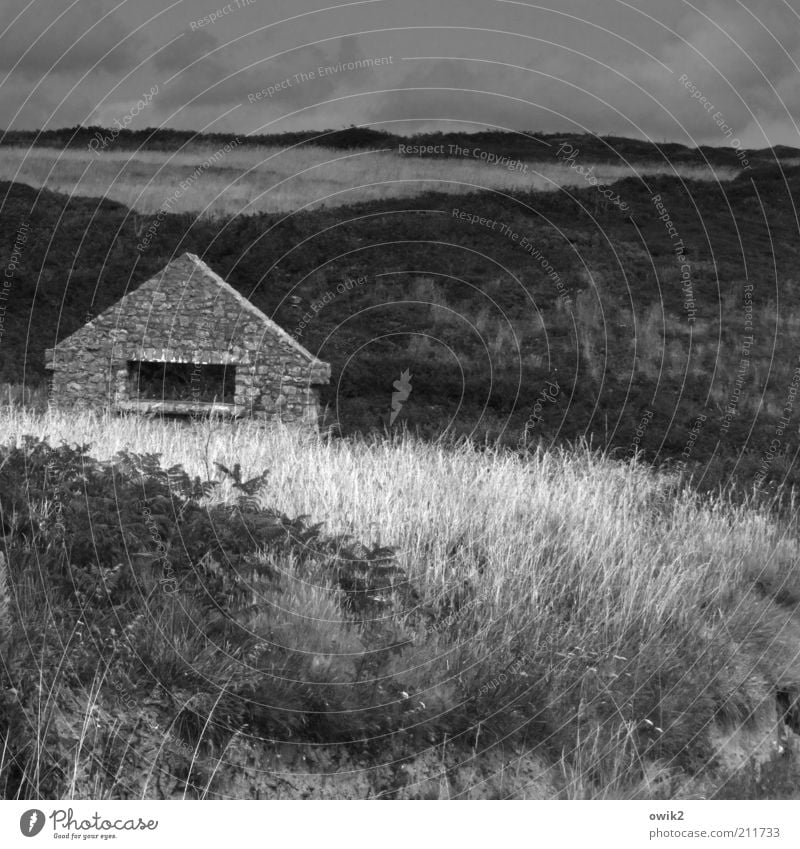 Zimmer mit Aussicht Umwelt Natur Landschaft Pflanze Horizont Gras Sträucher Wiese Finistere Bretagne Frankreich Menschenleer Bauwerk Architektur Mauer Wand