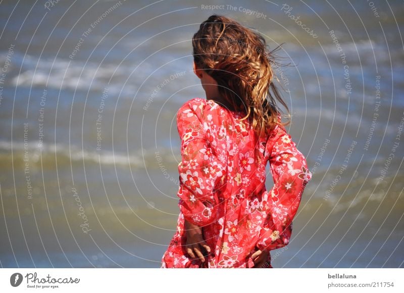 Rauhe See. Freude Erholung ruhig Kur Ferien & Urlaub & Reisen Sommer Sommerurlaub Meer Wellen Mensch feminin Kindheit Haare & Frisuren Rücken Arme 1 Wasser