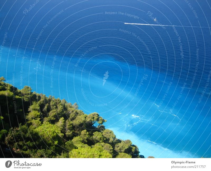 Porto Katsiki Magic Ferien & Urlaub & Reisen Ausflug Sommer Sommerurlaub Meer Insel Umwelt Natur Landschaft Wasser Schönes Wetter Wärme Baum Wald Küste Bucht