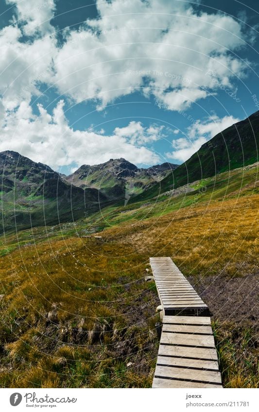 Ende und Anfang Ferien & Urlaub & Reisen Berge u. Gebirge Natur Landschaft Pflanze Himmel Wolken Frühling Sommer Wetter Schönes Wetter Gras Wiese Hügel Alpen