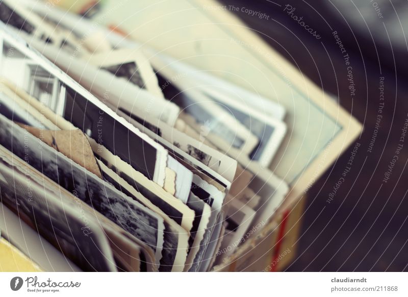 In der Erinnerung... Leben Kasten Sammlung alt historisch Fotografie Erbe vererben Vergangenheit Zeitreise Flohmarkt Suche aufbewahren Blick Fotokiste Fundstück