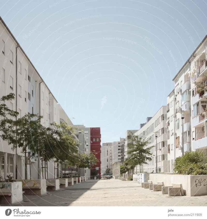 zadar Häusliches Leben Himmel Pflanze Baum Sträucher Kroatien Stadt Haus Platz Gebäude Architektur Mauer Wand Fassade Farbfoto Außenaufnahme Menschenleer