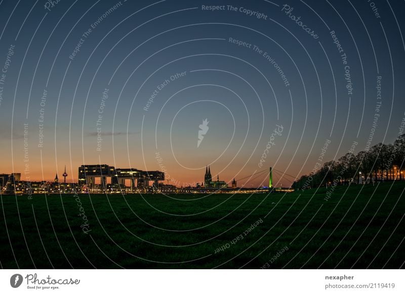Cologne Skyline at night Ferien & Urlaub & Reisen Tourismus Ausflug Sightseeing Städtereise Nachtleben Umwelt Himmel Wolkenloser Himmel Frühling Sommer