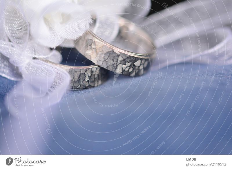 Eheringe Schleife wählen glänzend Liebe Zusammensein Glück rund silber Schmuck Ring Goldlegierung edel teuer Kostbarkeit Versprechen Ehepaar Hochzeit