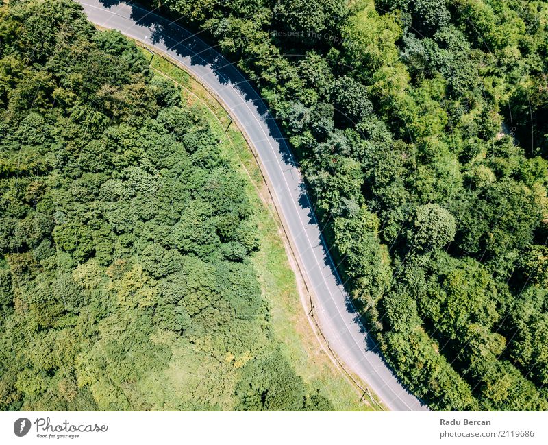 Vogelperspektive der Straße durch Karpaten-Gebirgswald laufend Ferien & Urlaub & Reisen Ferne Freiheit Expedition Sommer Berge u. Gebirge Umwelt Natur