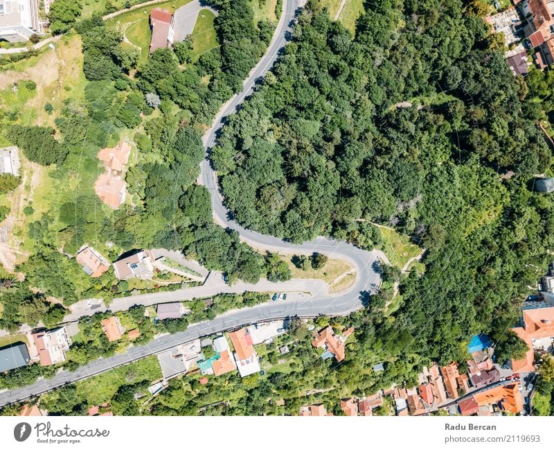 Vogelperspektive der Straße durch Karpaten-Gebirgswald laufend Ferien & Urlaub & Reisen Sommer Berge u. Gebirge Umwelt Natur Landschaft Pflanze Baum Wald