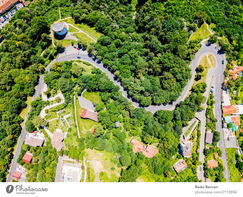 Vogelperspektive der Straße durch Karpaten-Gebirgswald laufend Ferien & Urlaub & Reisen Abenteuer Ferne Freiheit Sommer Berge u. Gebirge Umwelt Natur Landschaft