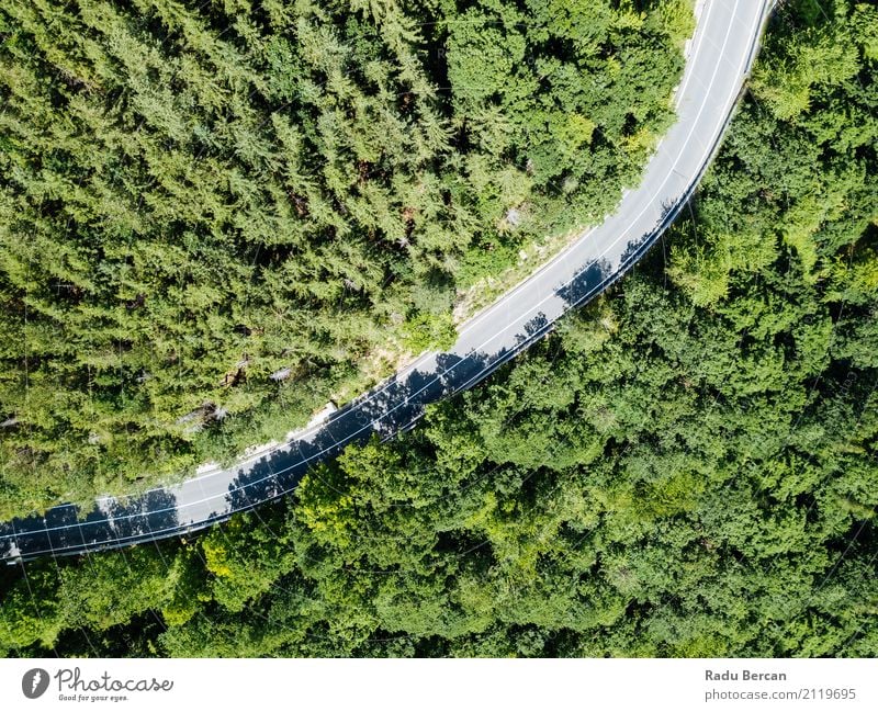 Vogelperspektive der Straße durch Karpaten-Gebirgswald laufend Ferien & Urlaub & Reisen Sommer Berge u. Gebirge Umwelt Natur Landschaft Pflanze Schönes Wetter