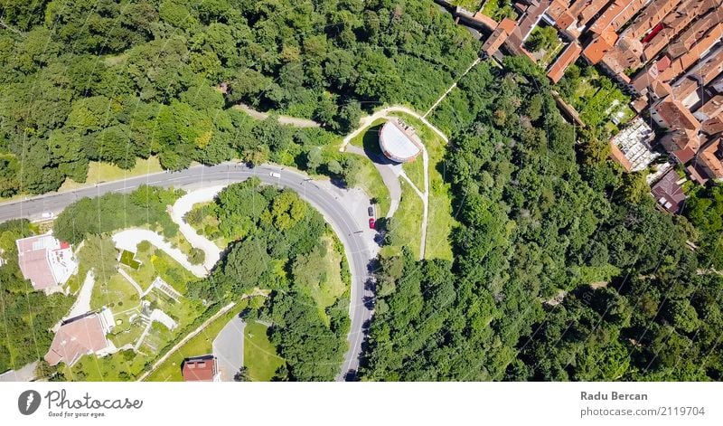 Vogelperspektive der Straße durch Karpaten-Gebirgswald laufend Umwelt Landschaft Erde Sommer Schönes Wetter Baum Wald Berge u. Gebirge brasov Rumänien