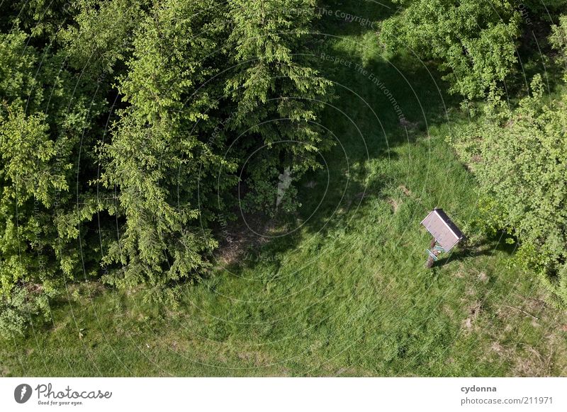 Wegweiser Erholung ruhig Ferien & Urlaub & Reisen Tourismus Ausflug Umwelt Natur Landschaft Baum Wiese Wald Einsamkeit Freiheit Idylle Leben Wege & Pfade grün