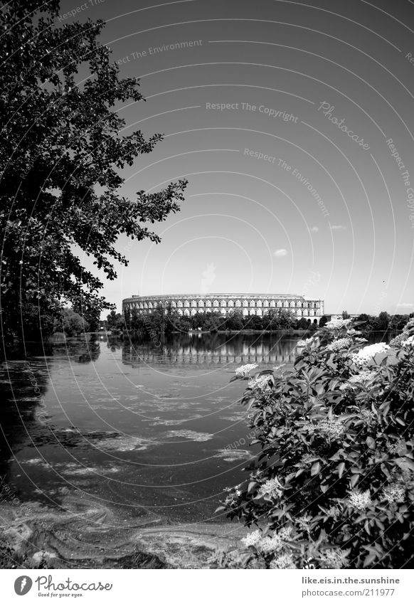 Collosseum? Natur Wasser Wolkenloser Himmel Sommer Schönes Wetter Pflanze Baum Sträucher Grünpflanze Park Seeufer Menschenleer Sehenswürdigkeit Wahrzeichen