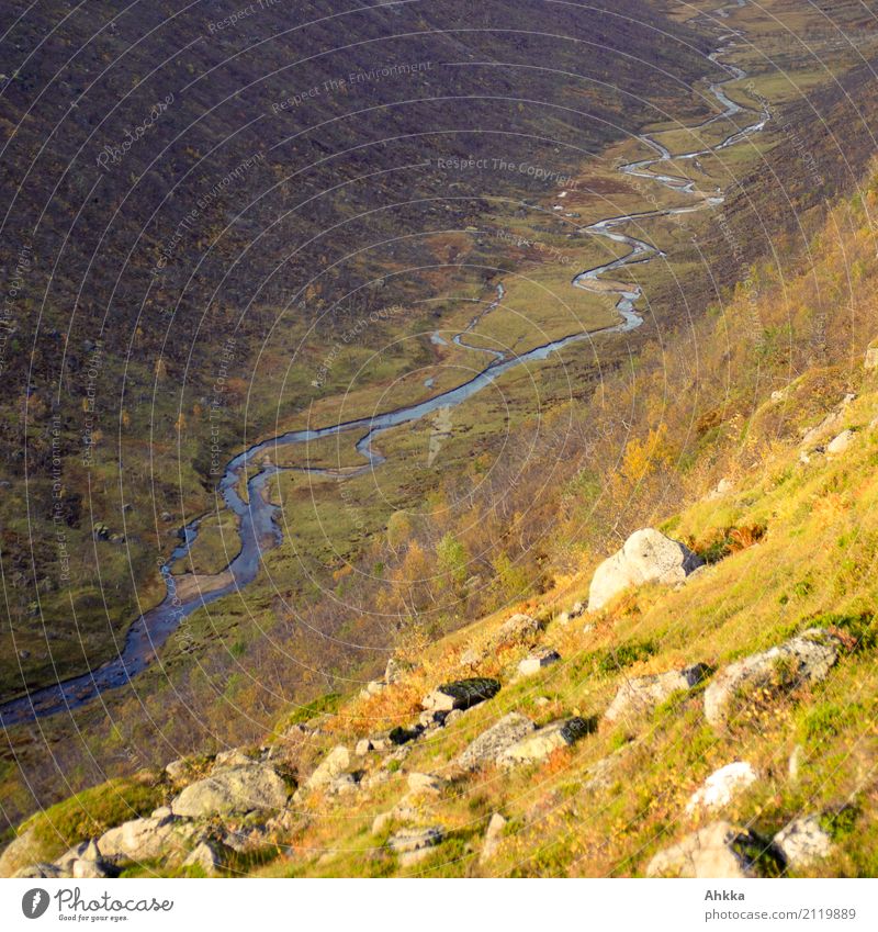 Wasserschlängelei ruhig Meditation Natur Landschaft Urelemente Sonnenlicht Herbst Klima Schlucht Fluss Norwegen Unendlichkeit wild gold Zufriedenheit Einsamkeit