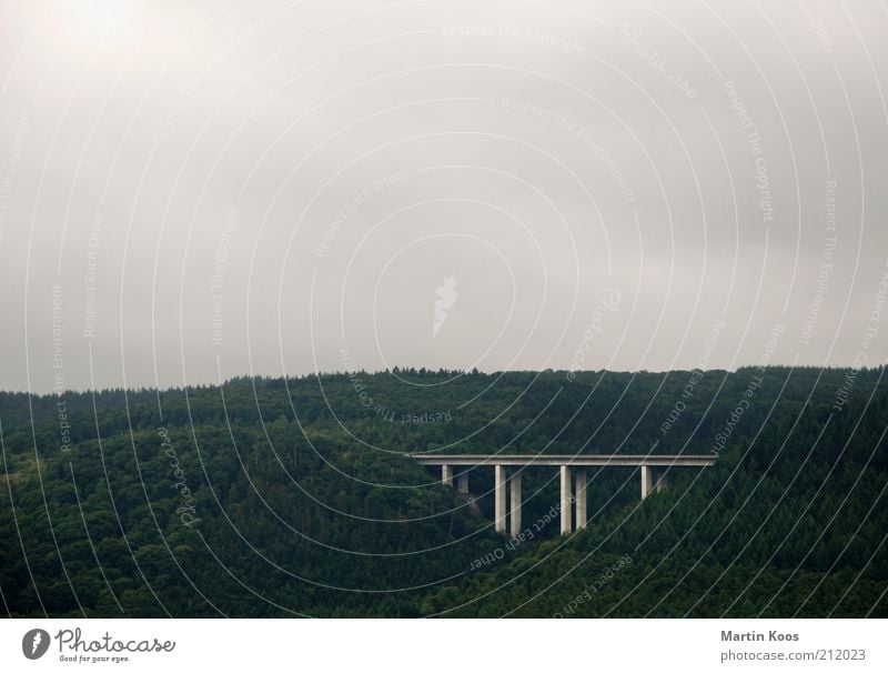 ÜberBrücken Umwelt Natur Landschaft Klima Wald Berge u. Gebirge Verkehr Verkehrswege Straßenverkehr groß Farbfoto Gedeckte Farben Außenaufnahme Menschenleer