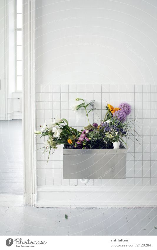 Becken-Blumenkasten Lifestyle Häusliches Leben Wohnung Innenarchitektur Dekoration & Verzierung Raum Atelier Veranstaltung Arbeit & Erwerbstätigkeit Beruf