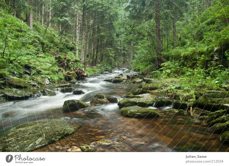 Bachlauf 3 Umwelt Natur Landschaft Pflanze Urelemente Erde Wasser Wald See Fluss nass Riesengebirge Langzeitbelichtung Außenaufnahme Stein Felsen Urwald