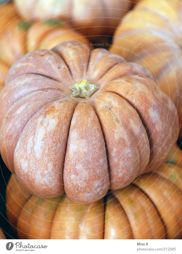 Kürbis Lebensmittel Gemüse Ernährung Bioprodukte Vegetarische Ernährung groß rund Wochenmarkt Marktstand Gemüsemarkt orange Farbfoto Gedeckte Farben Nahaufnahme