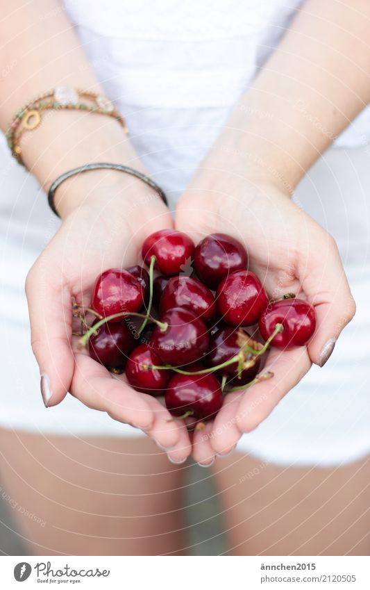 Kirschen in meiner Hand Gesunde Ernährung Speise Essen Foodfotografie Frucht Sommer ansammeln Lebensmittel festhalten Finger Armband Frau Außenaufnahme